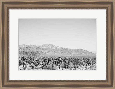 Framed Road Trip IV Print