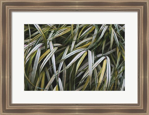 Framed Leafy IV Print