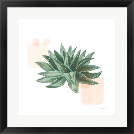 Framed Desert Color Succulent II Print