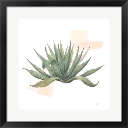 Framed Desert Color Succulent I Print