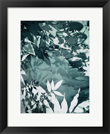 Framed Abstract Leaves Print