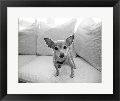 Framed Sweetpea Print