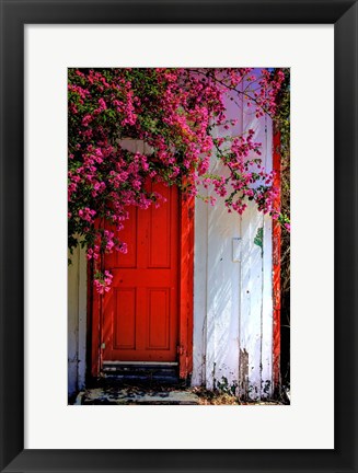 Framed Red Door Print