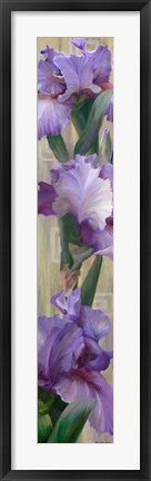 Framed Iris II Print