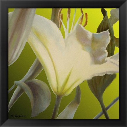 Framed Lily Green Print