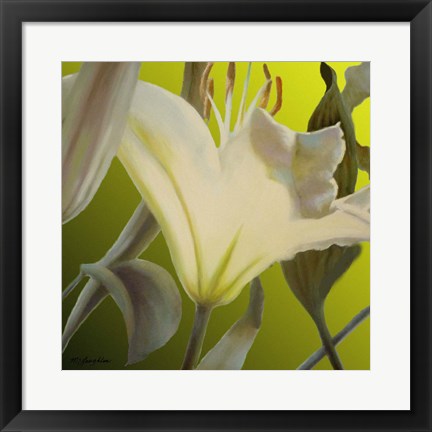 Framed Lily Green Print