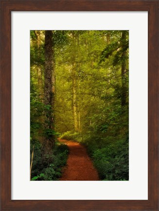 Framed Fairytale Path Print