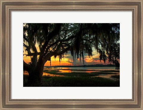 Framed Savannah Evening Print