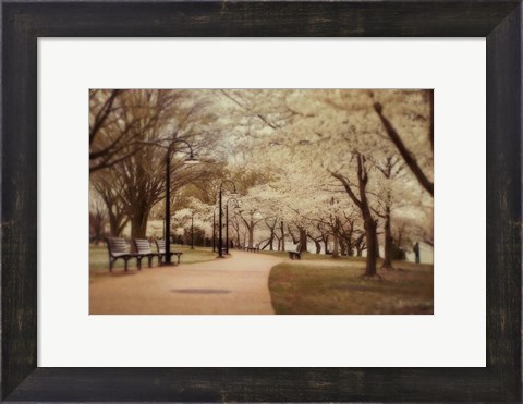 Framed Springtime Stroll Print