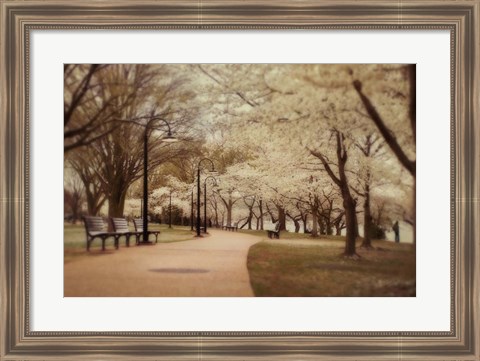 Framed Springtime Stroll Print