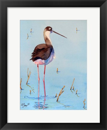 Framed Black Neck Stilt III Print