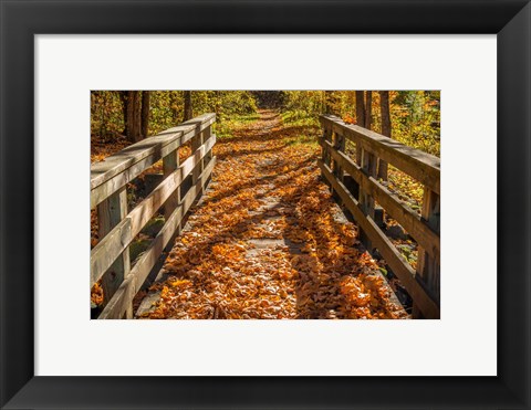 Framed Fall On The Footbridge Print