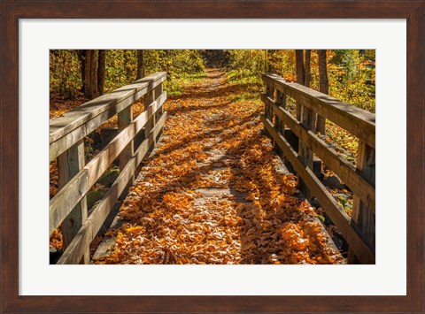 Framed Fall On The Footbridge Print