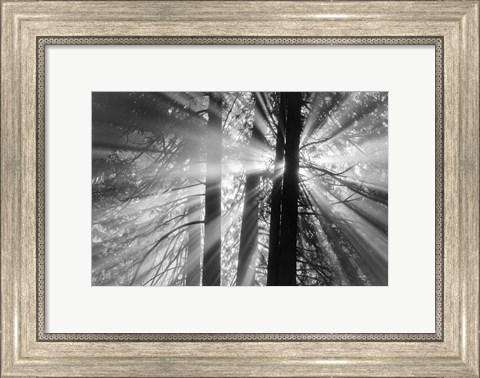 Framed Rays Print