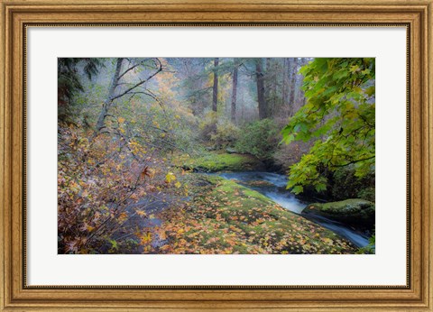 Framed Snow in Fall Print