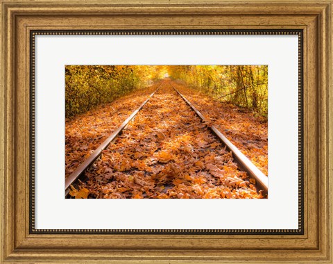 Framed Train Tracks in The Fall Print
