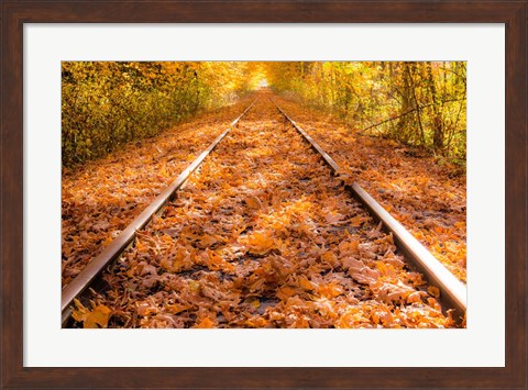 Framed Train Tracks in The Fall Print