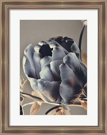 Framed Baroque 3 Print