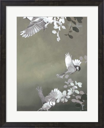 Framed Bird 4 Print