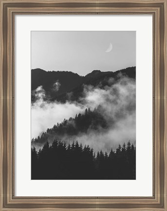 Framed Bishop 19 Print