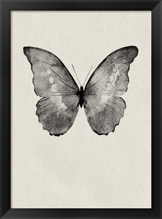 Framed Black Butterfly on Tan Print