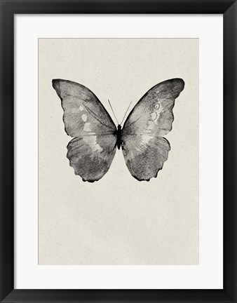 Framed Black Butterfly on Tan Print