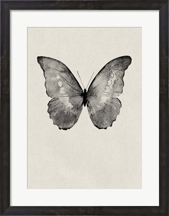 Framed Black Butterfly on Tan Print