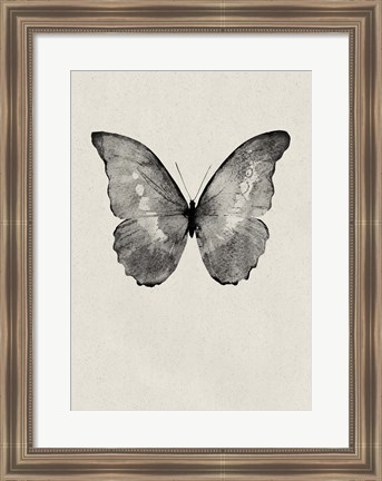 Framed Black Butterfly on Tan Print