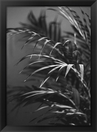 Framed Black Plant Print