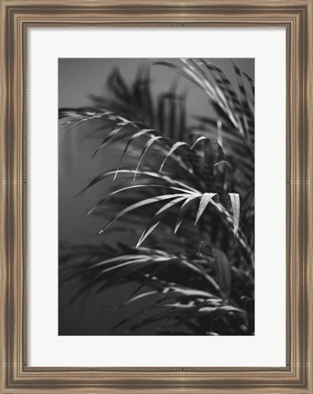 Framed Black Plant Print