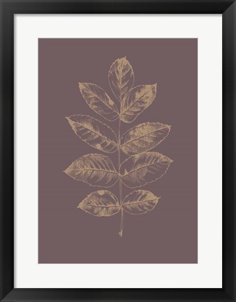 Framed Botanica 2 Print