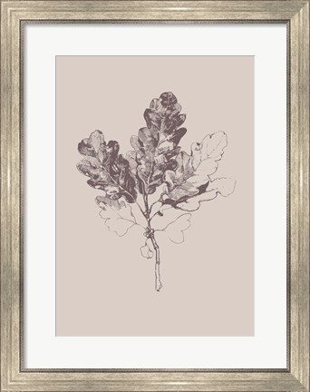 Framed Botanica 3 Print