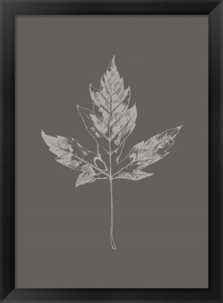 Framed Botanica 5 Print