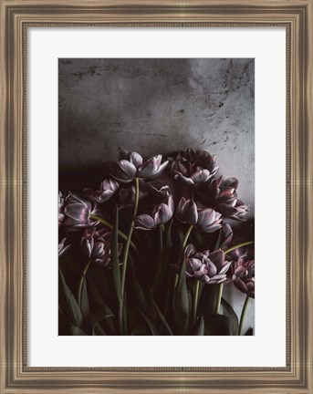 Framed Dark Tulips Print