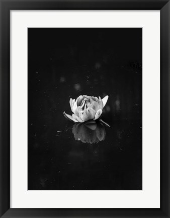 Framed Floating 2 Print