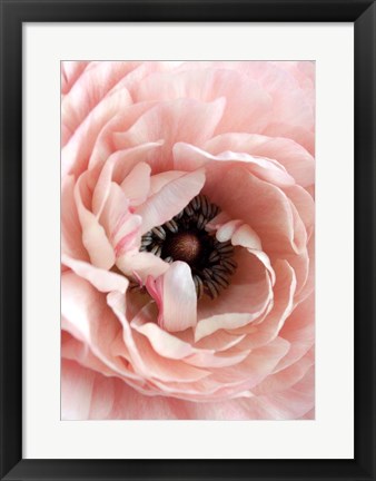 Framed Flower Print