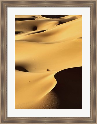 Framed In the Dunes 1 Print