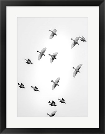 Framed In the Sky 1 Print