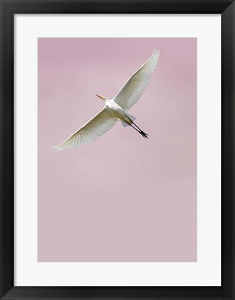 Framed In the Sky 2 Print