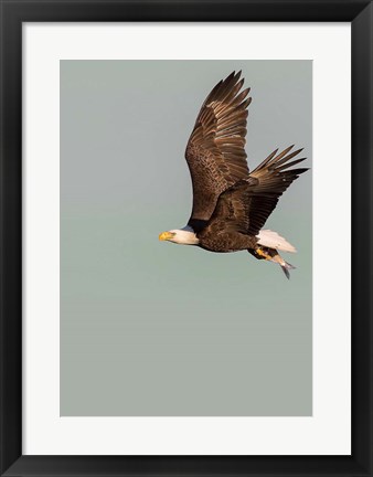 Framed In the Sky 3 Print