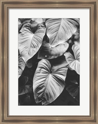 Framed Leaves of Grey Print