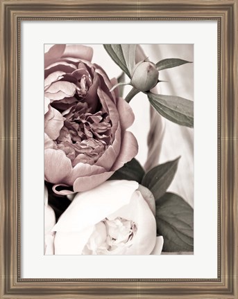 Framed Opulent 2 Print