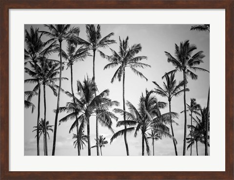 Framed Palm Heaven Print