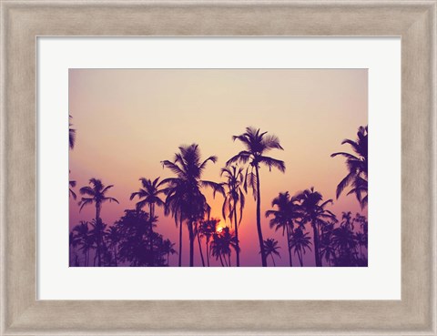 Framed Palm Sky 1 Print