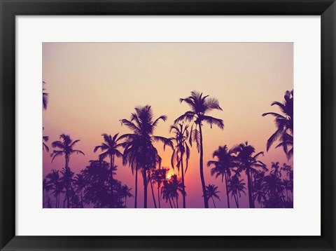 Framed Palm Sky 1 Print