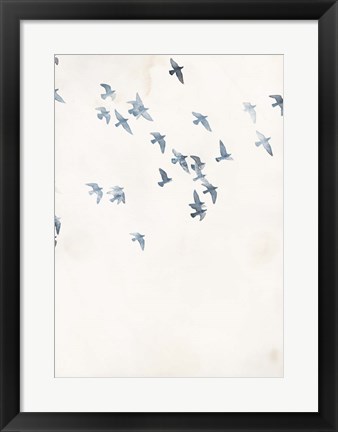 Framed Pigeons Sky Print