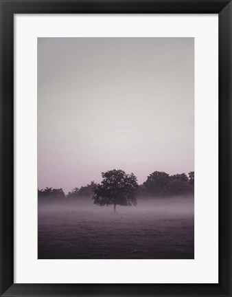 Framed Purple Light 2 Print