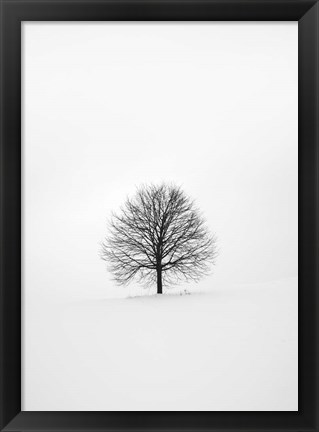 Framed Solitary 1 Print