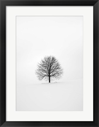 Framed Solitary 1 Print