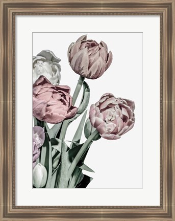 Framed Tulips Bright Print